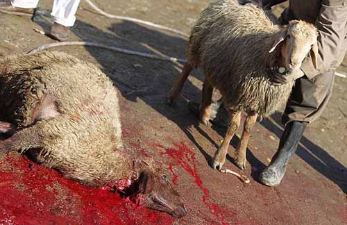 13900816141800250_PhotoL