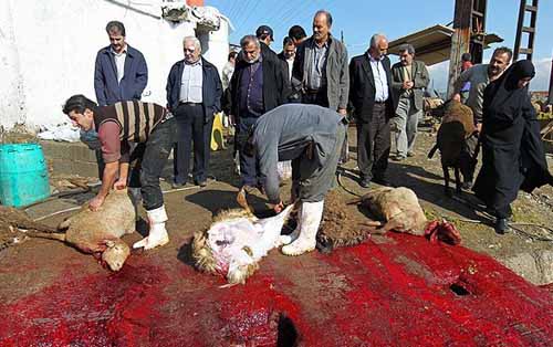 13900816141801765_PhotoL