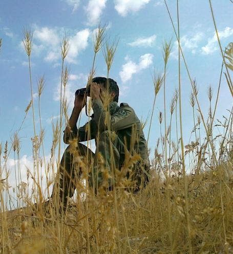 74622470543157019567 (1)