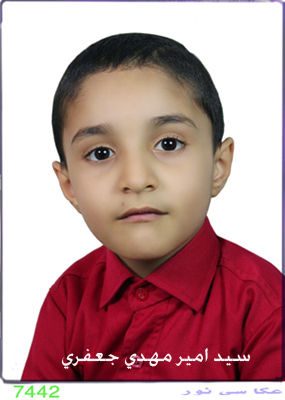 سید امیر مهدی جعفری