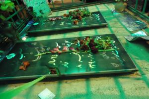 شهدای گمنام نکا