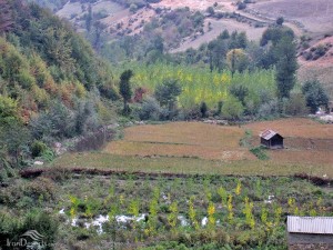 ۰c5e5b09-adaa-4c67-94de-06571989251e (1)