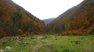 ۲۰۶۸۱۵ca-edd7-4cf0-b818-c0db872a54e4