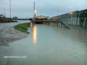 image-59bf78b275430d5e0e85abf6d5d491c0f2b4746075e000dfe468c90c709b316b-V