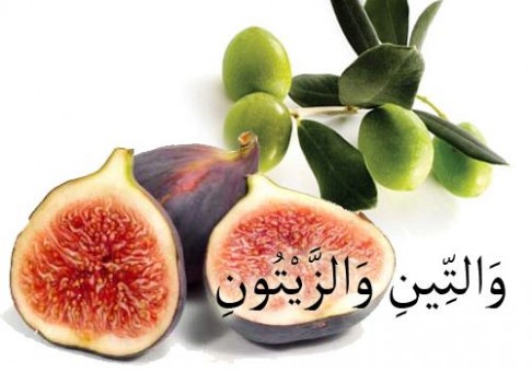 393123_433510936714550_205707453_n2