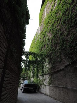 DSCN0911