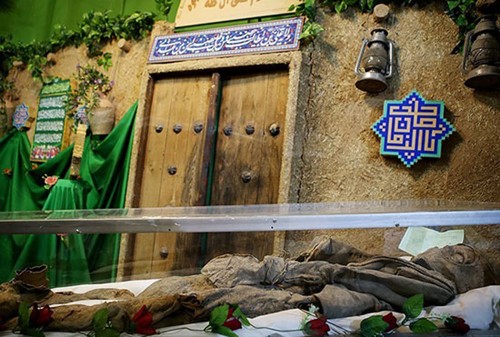 ay1v3swtvtt3ggy7w7a8