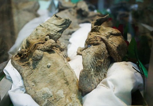 qtmbluguzuvw84lh3yxh