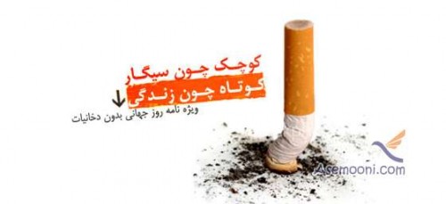 world-no-tobacco-day1