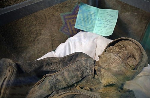 zpgtot3m47q0wru40adl