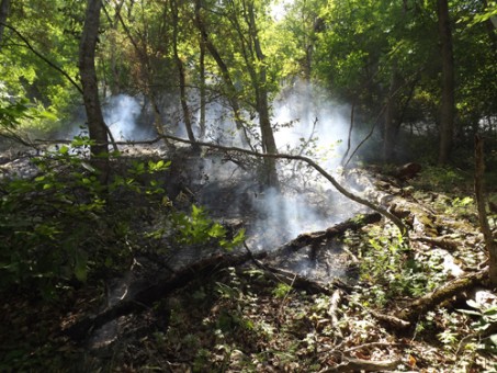 آتش سوزي - خرداد 94 073