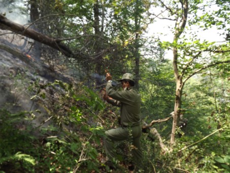 آتش سوزي - خرداد 94 077