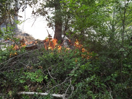 آتش سوزي - خرداد 94 080