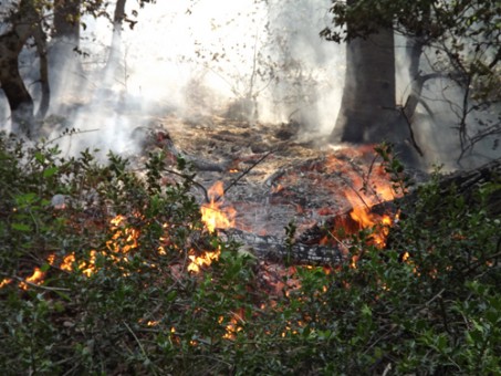 آتش سوزي - خرداد 94 081