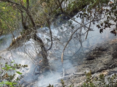 آتش سوزي - خرداد 94 082