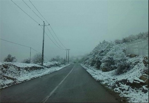 13940810000744_PhotoL