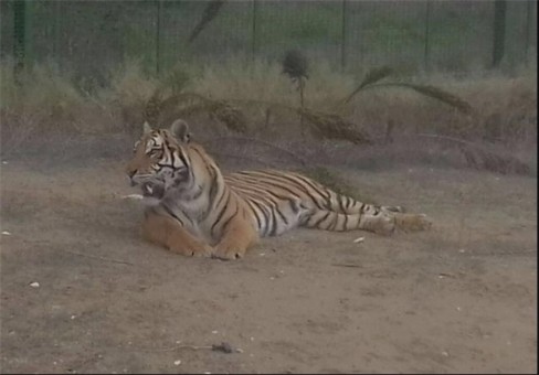 13940825000561_PhotoL