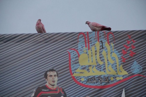 photo_2015-11-06_06-21-20