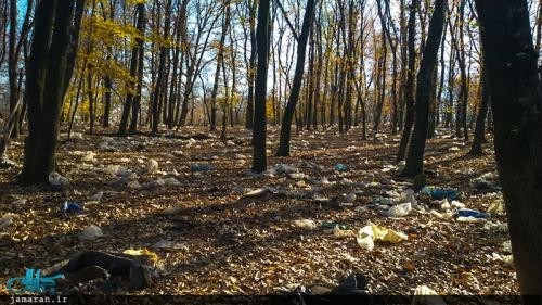 IMG_20151229_150541_Fixd-500x281