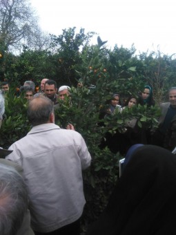 photo_2015-12-17_20-35-51