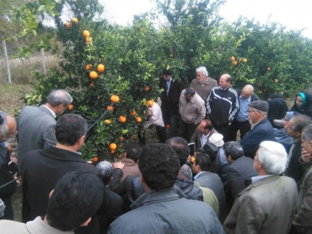 photo_2015-12-17_20-36-05