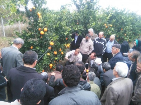 photo_2015-12-17_20-36-24