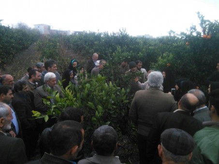 photo_2015-12-17_20-36-28