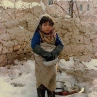 mony-1-2z4fgtqak9pfhcroul1c0a