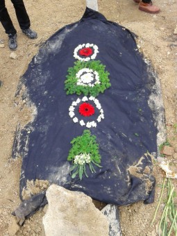 photo_2016-02-22_00-00-00