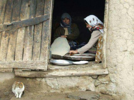 photo_2016-02-29_07-22-33