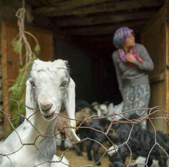 photo_2016-02-29_07-22-36