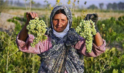 photo_2016-02-29_07-22-41