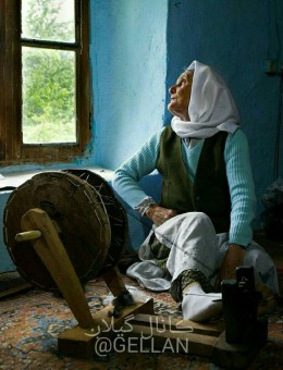 photo_2016-02-29_07-22-48