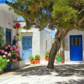 photo_2016-02-29_07-22-55