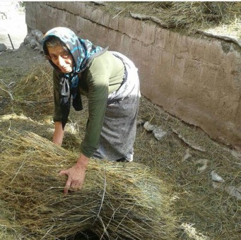 photo_2016-02-29_07-22-58