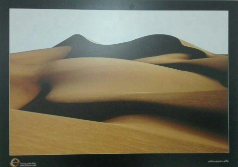 photo_2016-03-03_11-44-33