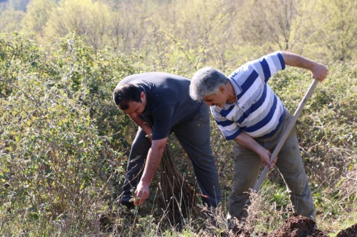 photo_2016-03-04_20-29-19
