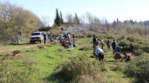 photo_2016-03-04_20-29-22