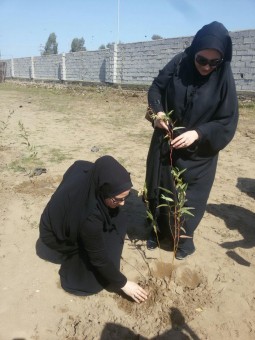 photo_2016-03-05_23-18-23