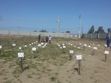 photo_2016-03-05_23-21-46