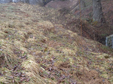 photo_2016-03-11_16-32-17