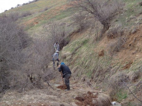 photo_2016-03-11_16-32-20