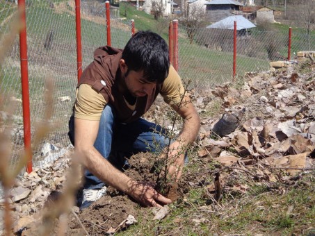 photo_2016-03-11_16-36-06