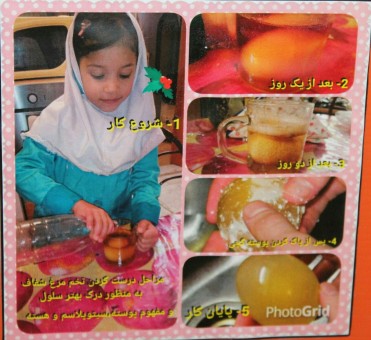 photo_2016-03-14_03-08-45