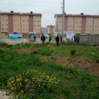 photo_2016-03-14_04-41-57