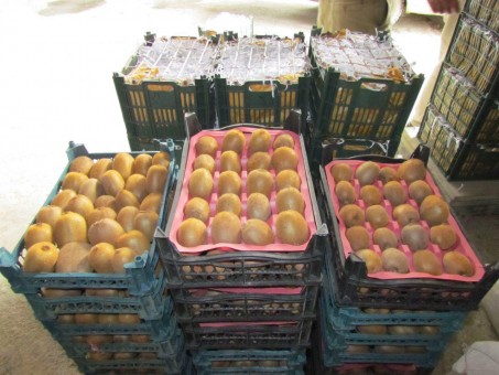 photo_2016-03-16_07-51-46