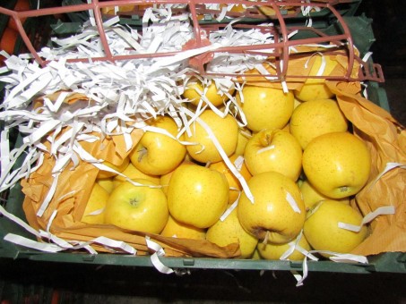 photo_2016-03-16_07-51-48