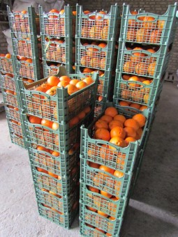 photo_2016-03-16_07-51-51