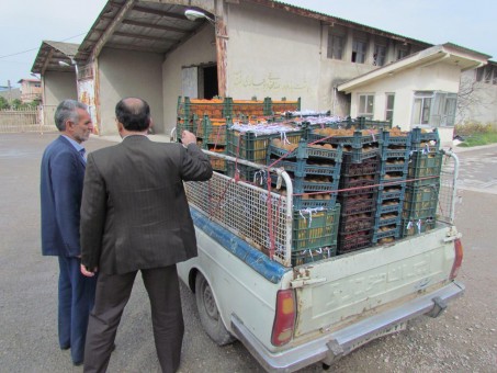 photo_2016-03-16_07-51-54