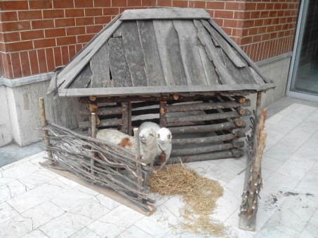 photo_2016-03-16_08-17-16